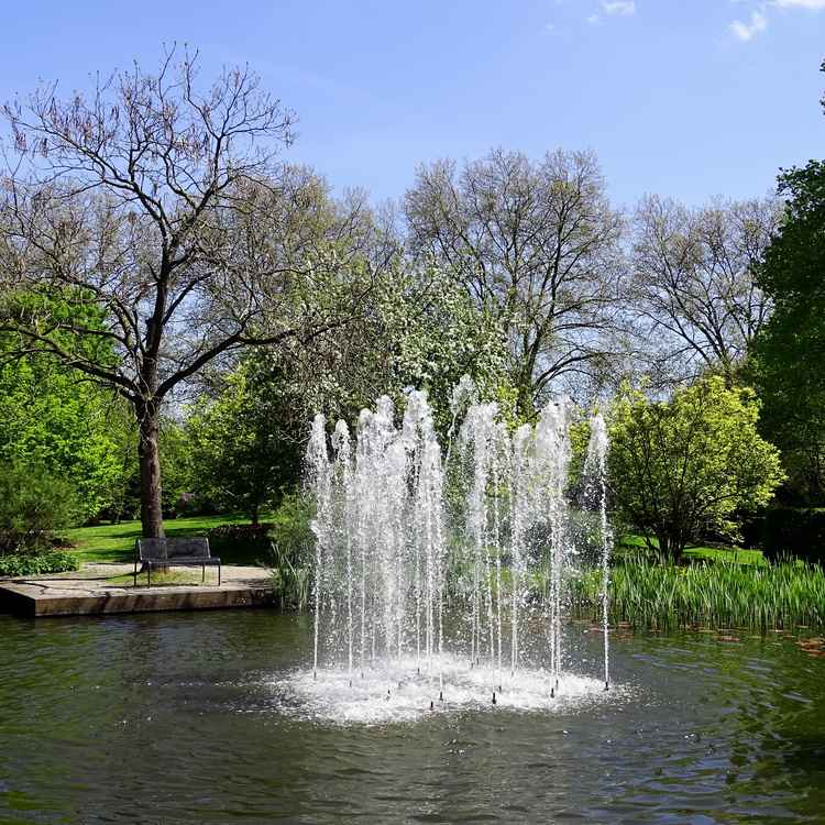 Mülheims Garten an der Ruhr #3