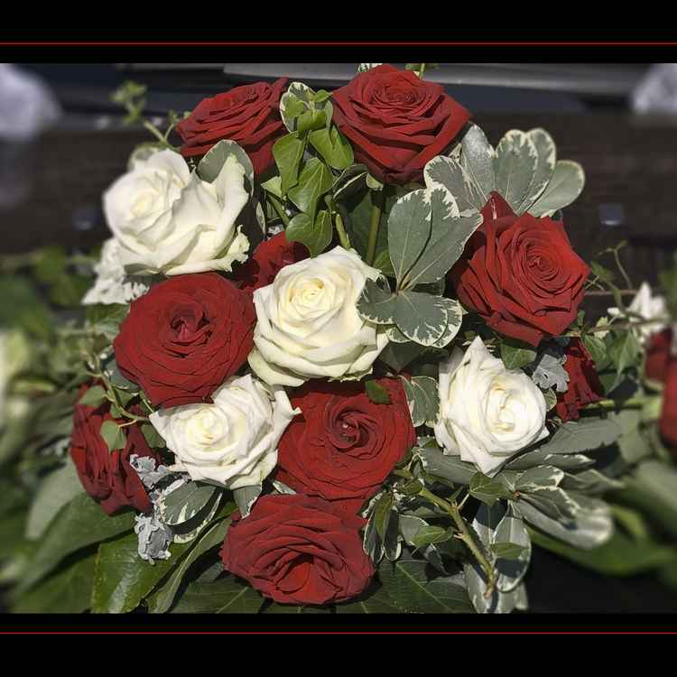 This must be Love..!