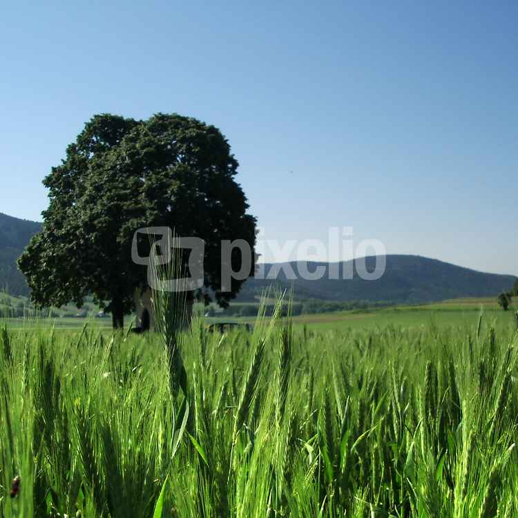 ..am Land