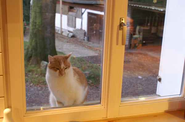 Was gibt es da zu sehen