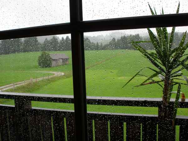 Regenfenster