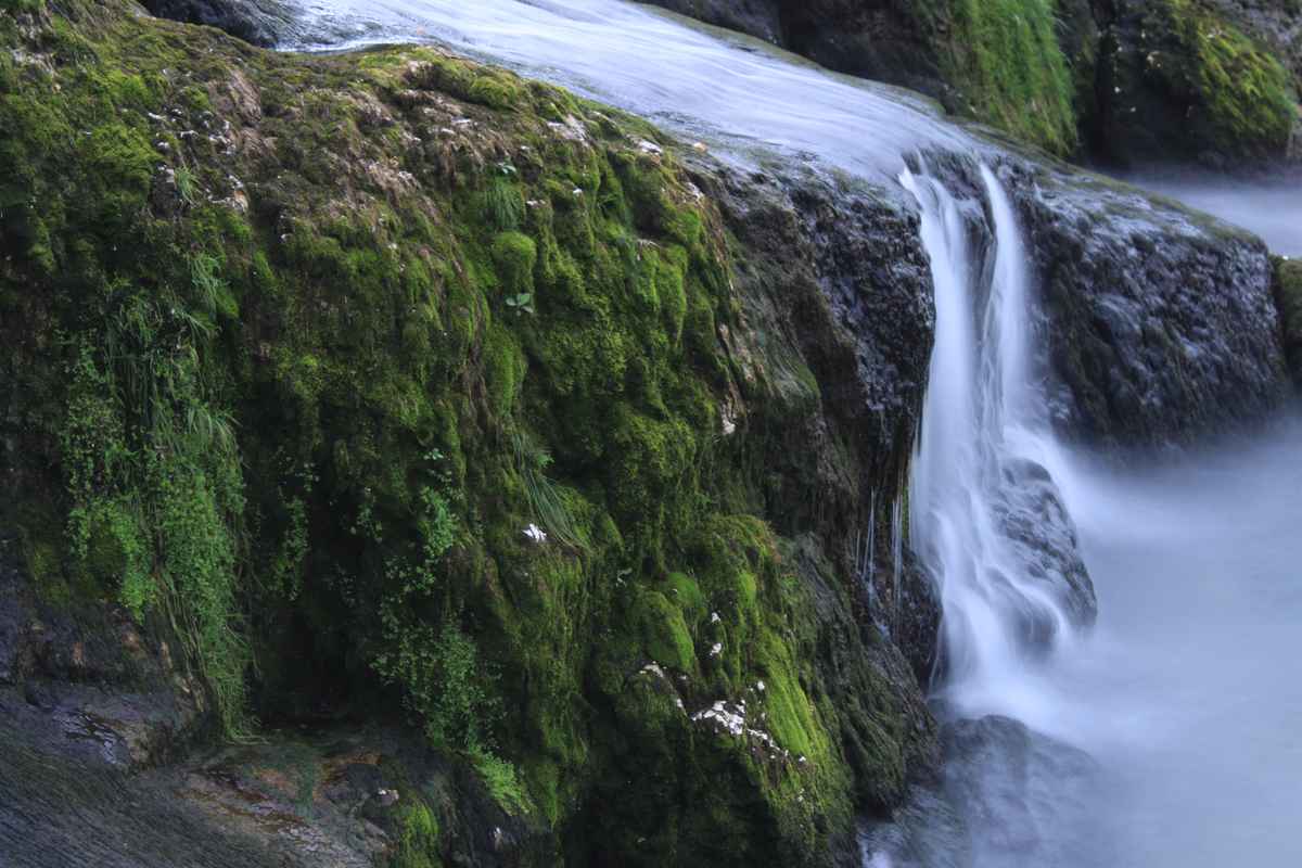 im Fluss der Zeit