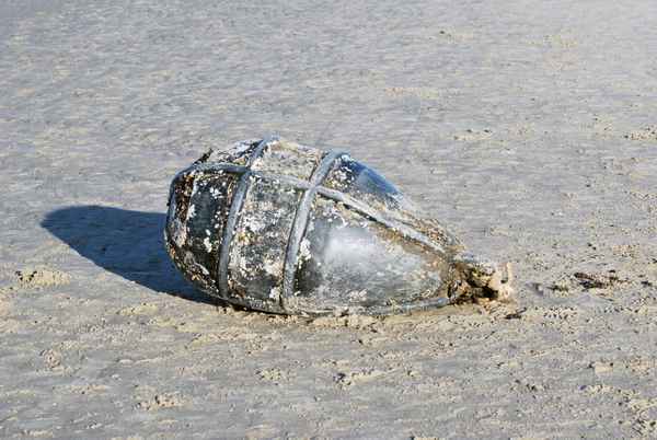 Strandgut.....
