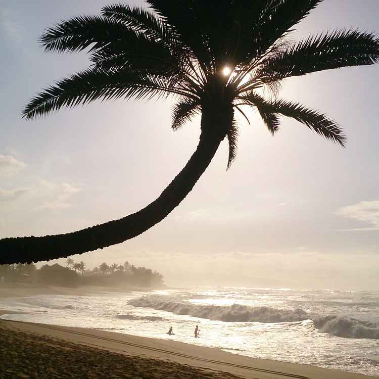 Strand im Gegenlicht