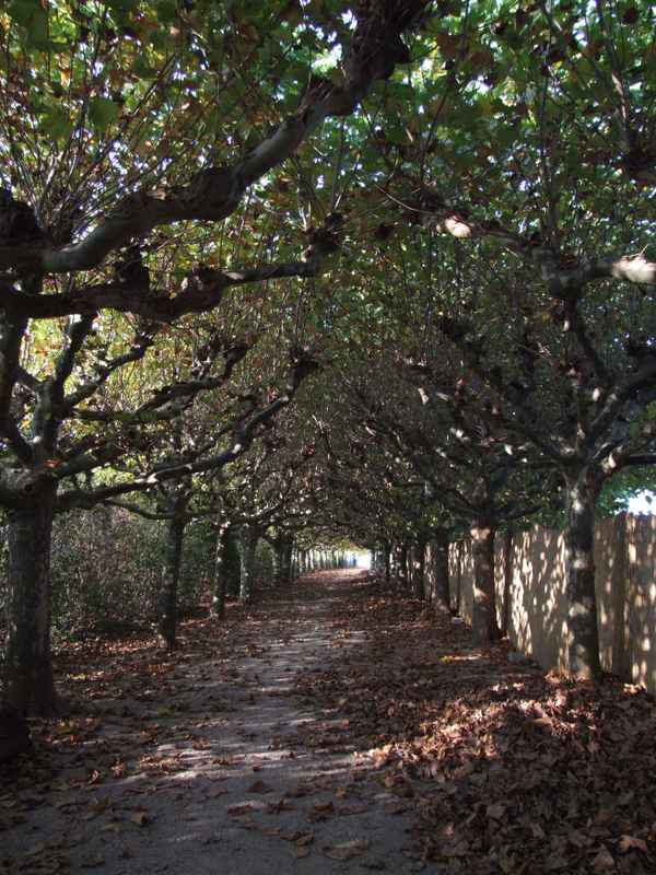 Fußgängerallee in Worms/Rhein