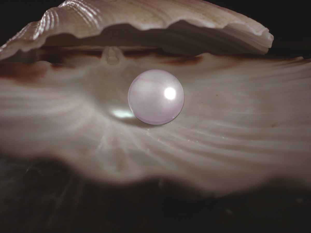 Die Perle