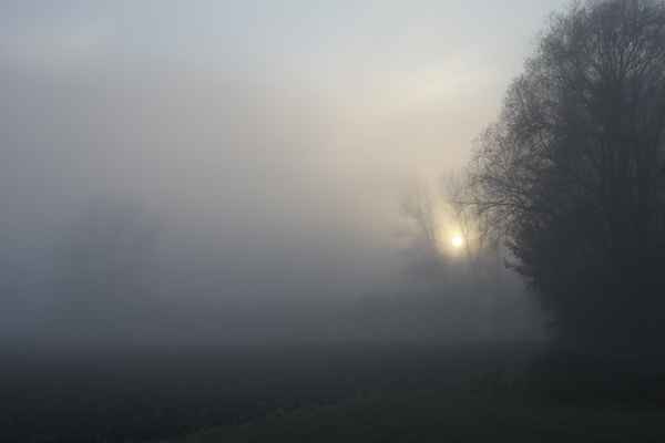 Mystische Nebellandschaft
