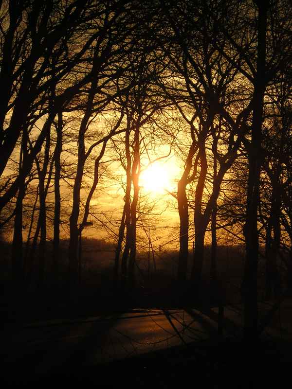 Strasse im Abendschimmer