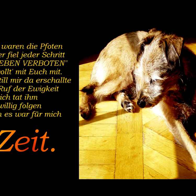 Ruf der Ewigkeit