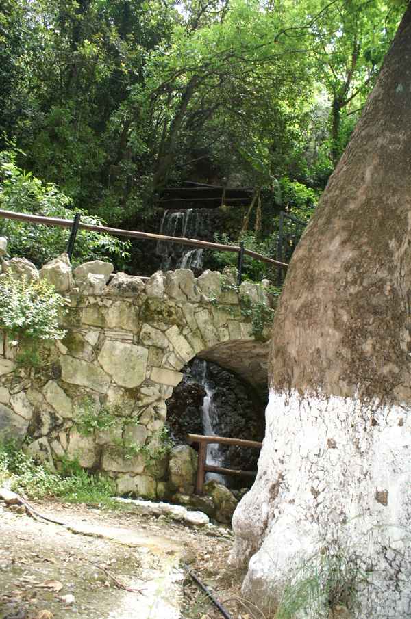 Lappa 5