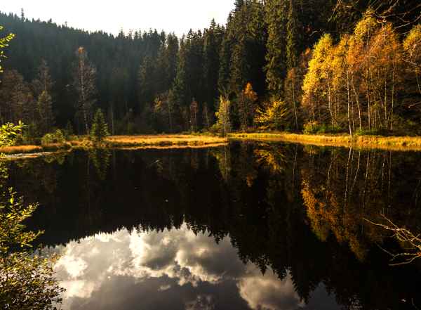 Ellbachsee - herbstliche Kontraste