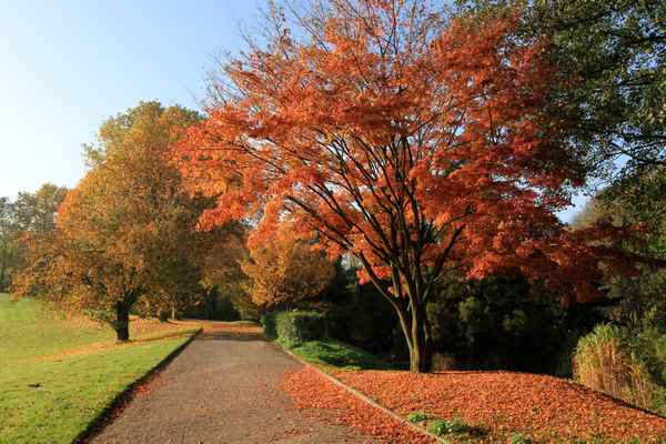 Wunderschöner Herbst 2