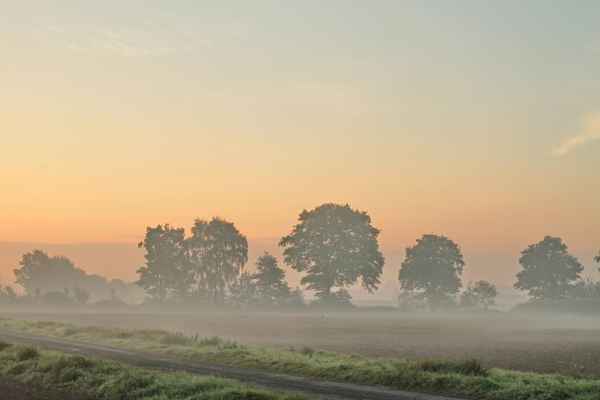 nebel in den feldern 5