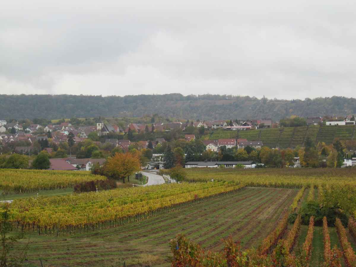 Weinberg