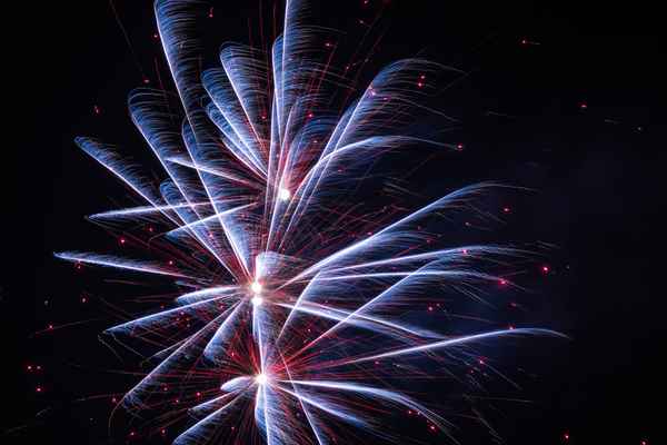 Leuchtender Federnstrauss