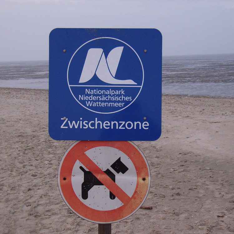 Zone