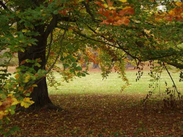 Herbst1