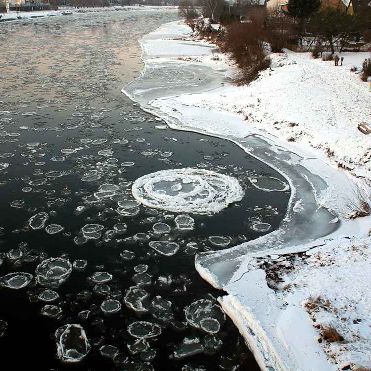 Eisschollen auf der Weser 4