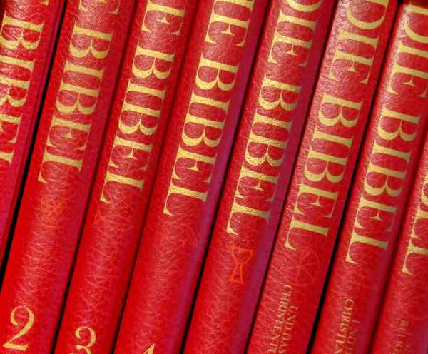 Die Bibel in 8 Bänden