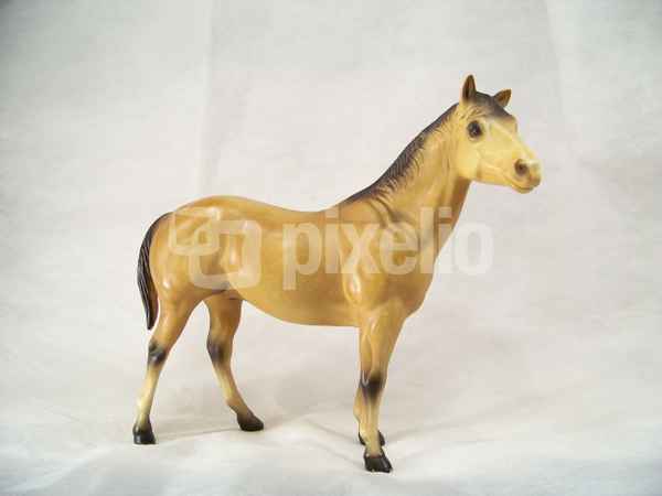 Pferd