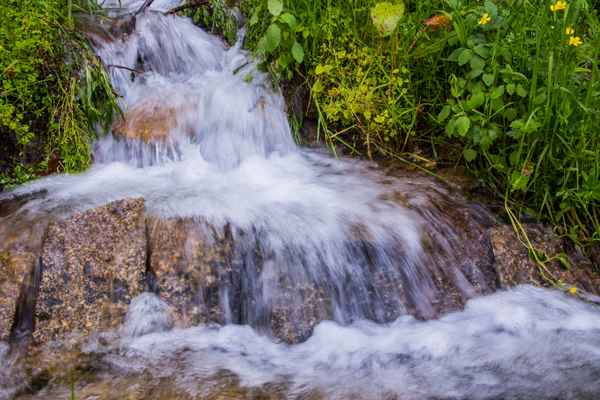 Kleiner Waldbach - Erfrischung 2