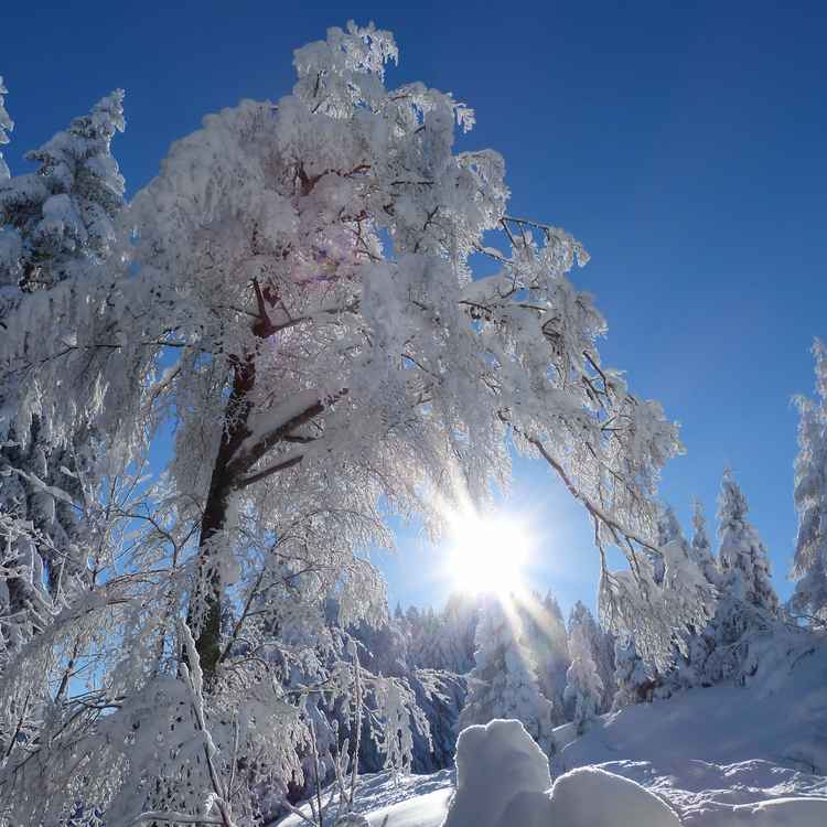 romantische Weihnachten