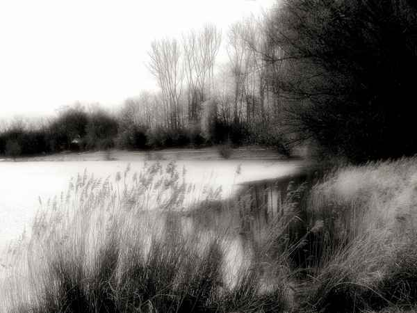 "Augsburger Meer"