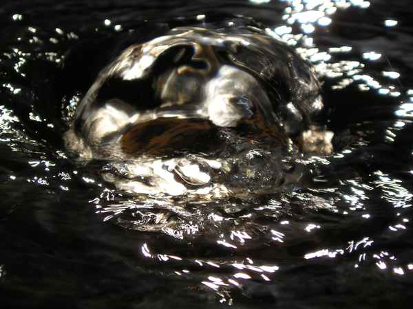 ~~Water~~Game~~part3