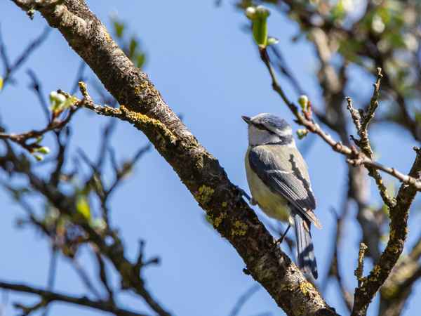 Ganz schön steil ...
