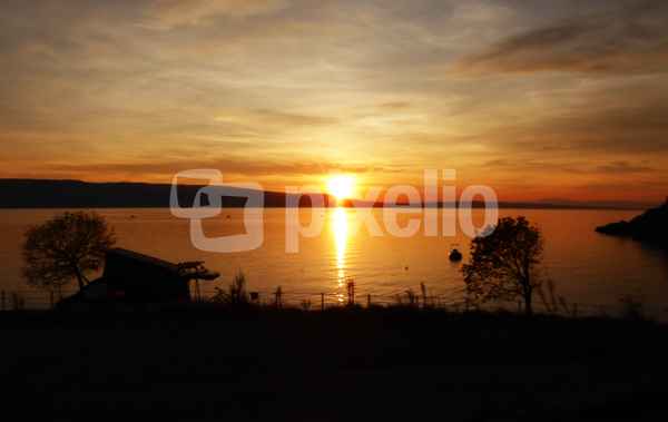 Sibinj (Kroatien) / 2
