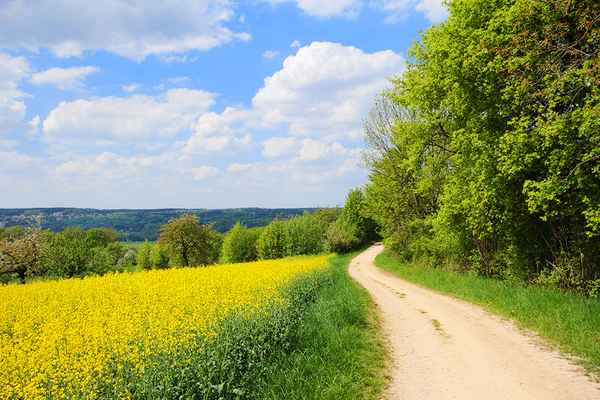 Wandern im Mai