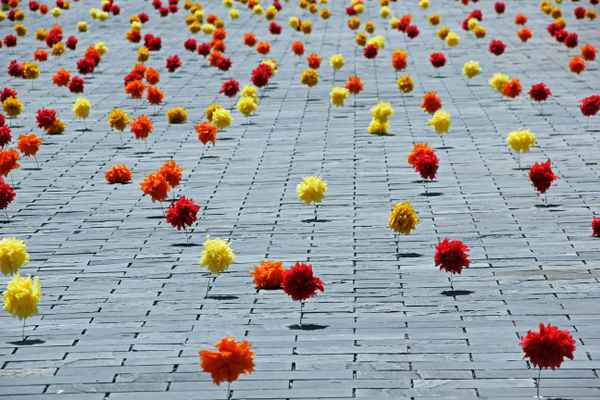 Lasst Blumen sprechen