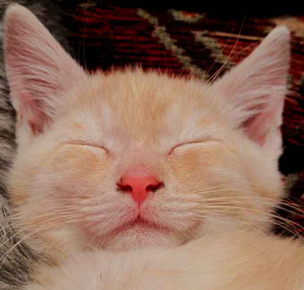 Einfach mal lächeln