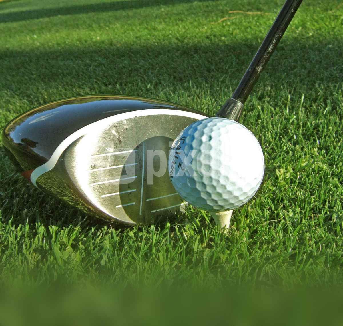 Golfschläger Driver, quadratisch