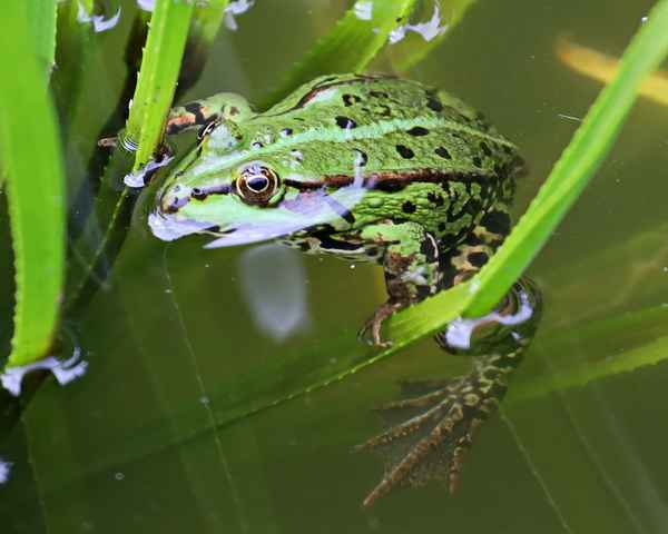 wen darf ich küssen?