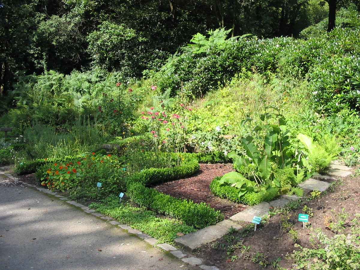 Tecklenburg  Kräutergarten