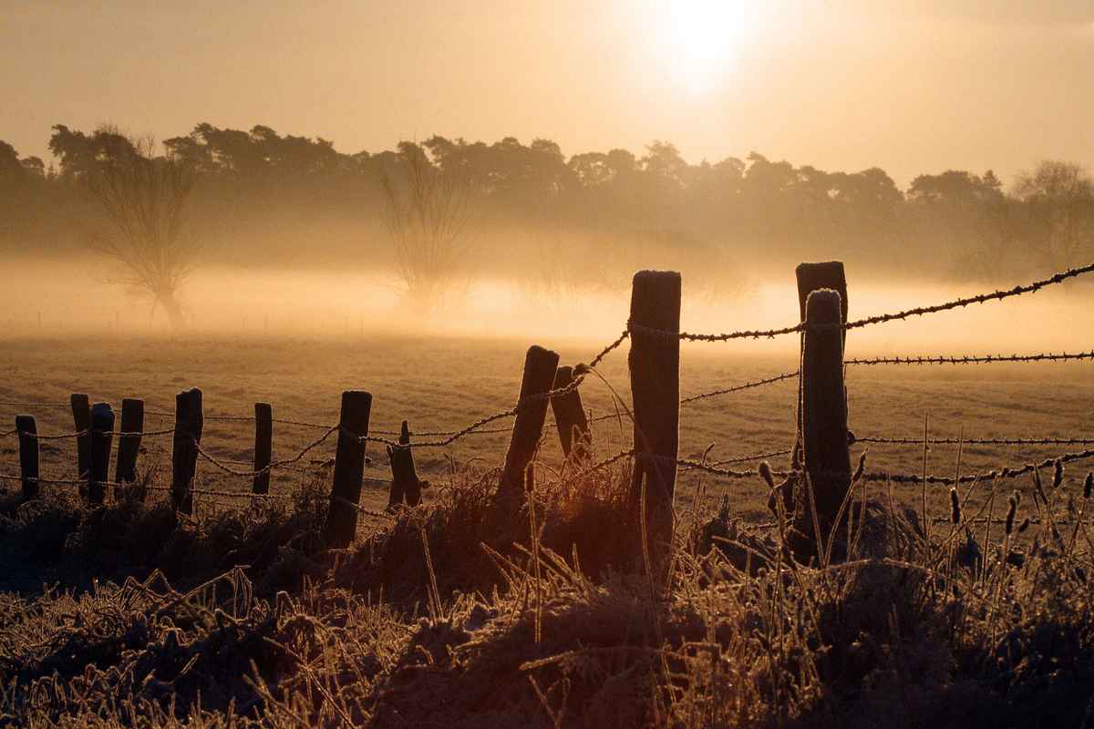 Gefrorene Landschaft