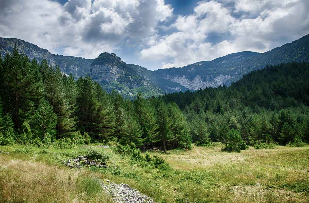 Blidinje