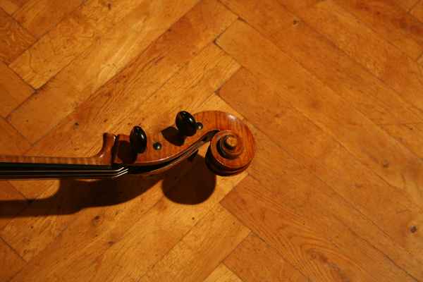 Cello