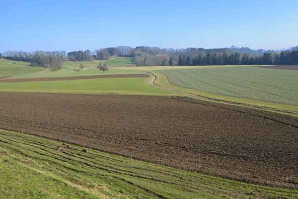 Die Felder werden vorbereitet