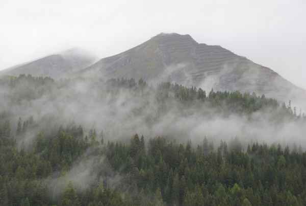Mystische Stimmung am Berg