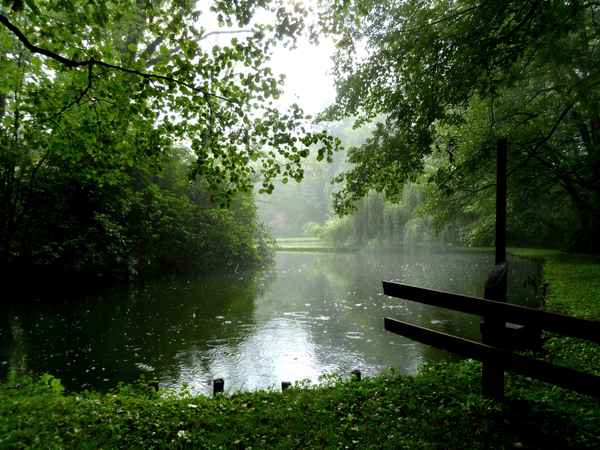 Fischteich im leichten Dunst