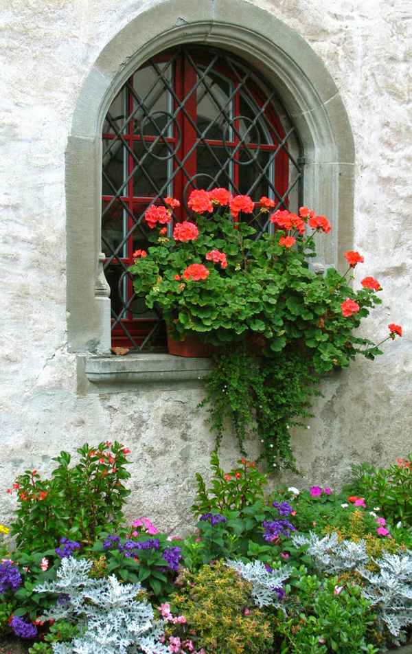 Blumige Aussichten