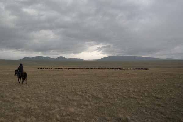 Hirte in der Steppe