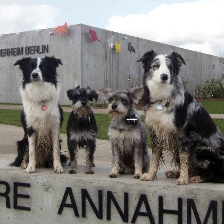 Kein Schwarz-Weiss-Foto
