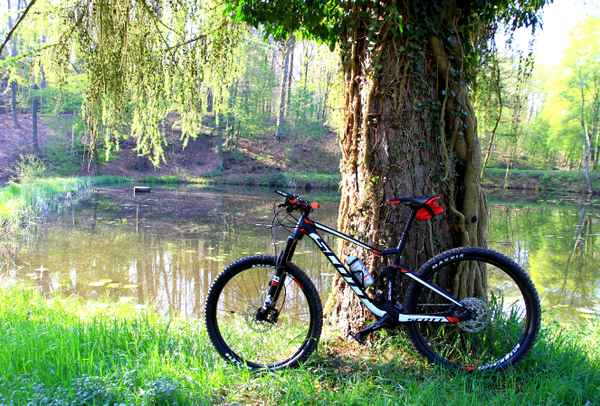 PAUSE AM SEE I