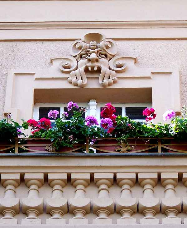 Blumen und Mystik