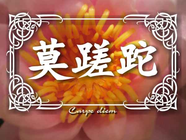 chin_carpe_diem