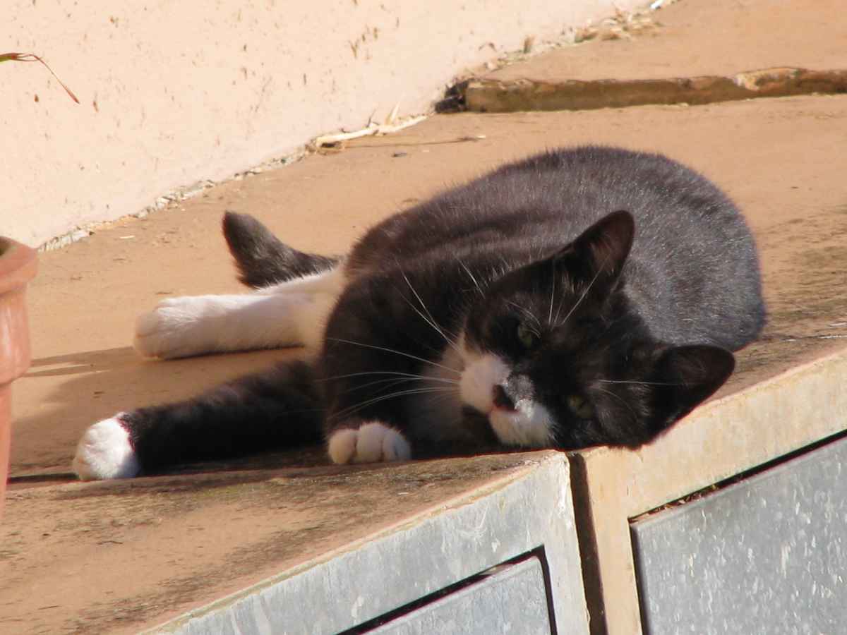 Sonnenbad