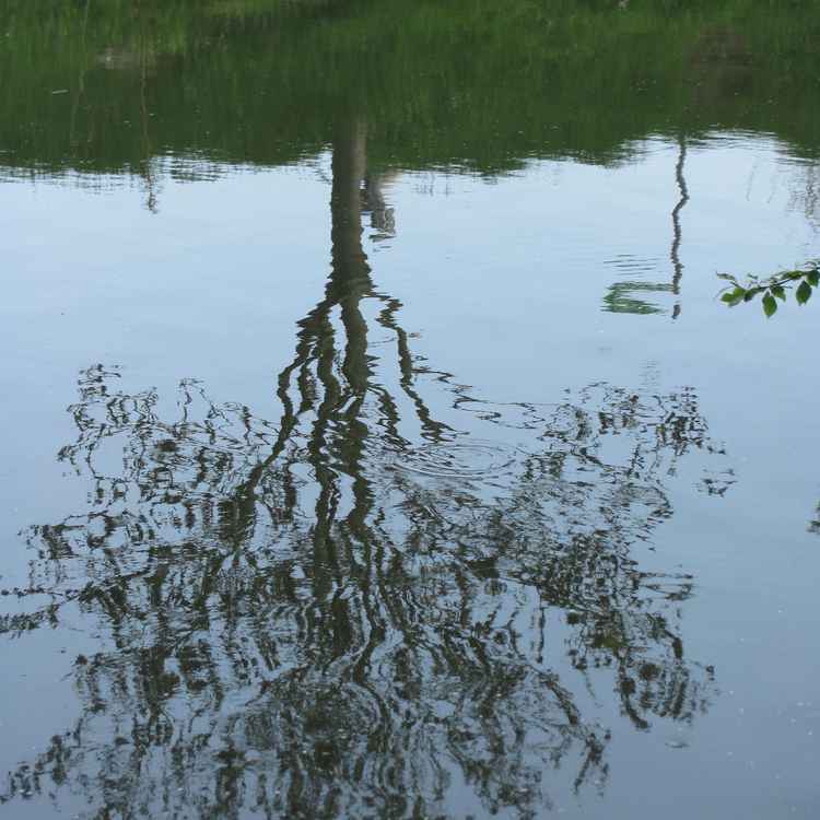 Wasserspiele 2